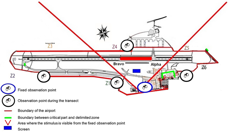 A map of the Lourdes-Tarbes-Pyrénées Airport showing the birds’ line of site to the stimuli.